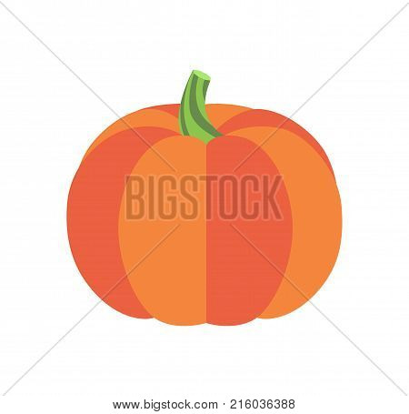 Halloween pumpkin with green stem, healthy organic autumn vegetable isolated cartoon flat vector illustration on white background.