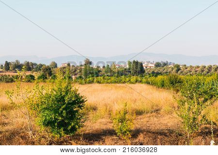 Summer Landscape With Green Trees And Fields And Mountains In The Distance