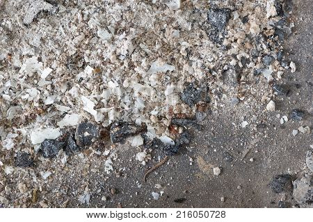 Ash In A Fireplace