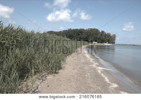 Picture late summer, early fall, soft breeze rolling off lakeside walking down along the beach. Summer clouds and the seagulls chirping at the fish. This picture will always bring the fresh water smell to mind.