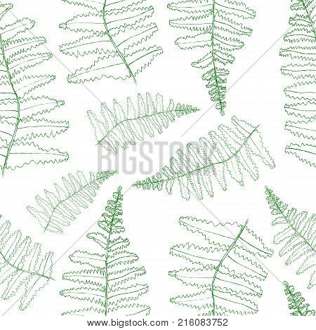 fern silhouette collection. Green isolated prints of fern leaves on the white background.