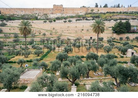 Mount Of Olives And The Old Jewish Cemetery In Jerusalem Israel.