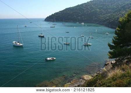 Yachts moored in a bay of the Palmaria island