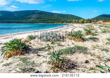Beach In A Sunny And Cloudy Day