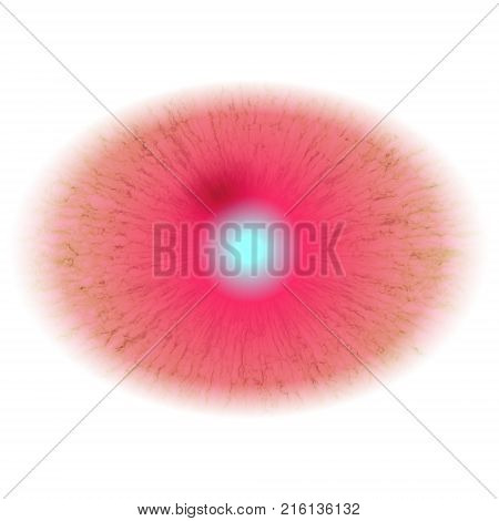 Rentgen Photo. Isolated Elliptic Animal Red Eye With Large Pupil And Bright Retina.