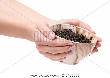 Leaf tea in a pial of female hands on a white background isolation