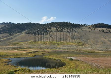 Blacktail Ponds at Yellowstone National Park in the USA