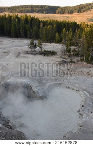 Sulphur Caldron at Yellowstone National Park in Wyoming