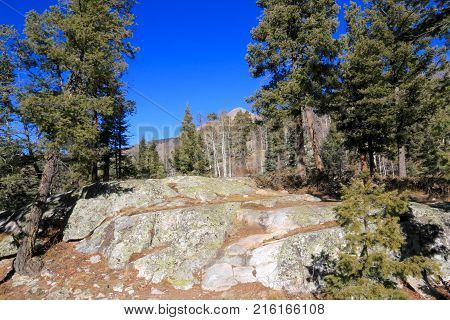 Lime Creak Trail in San Juan National Forrest in CO
