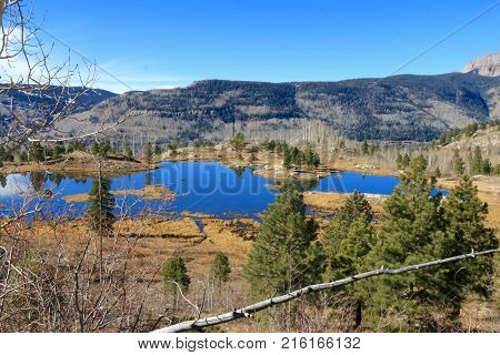 Lime Creak Trail in San Juan National Forrest in CO