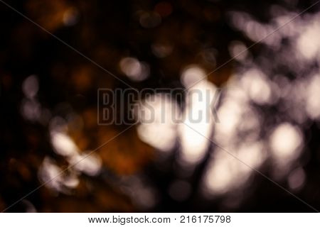 Colorful bokeh background. abstract blurred circles in nature colors. Copyspace for design and text