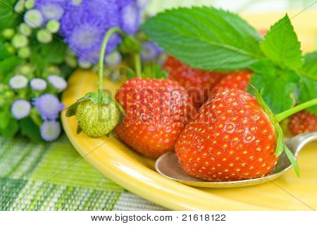 Erdbeere