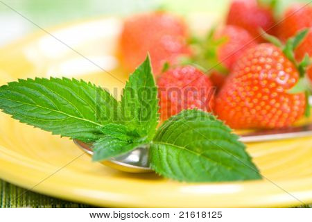 Mentha und Erdbeere