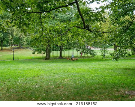 New York - Sep 2017: Central Park view in Manhattan New York City USA