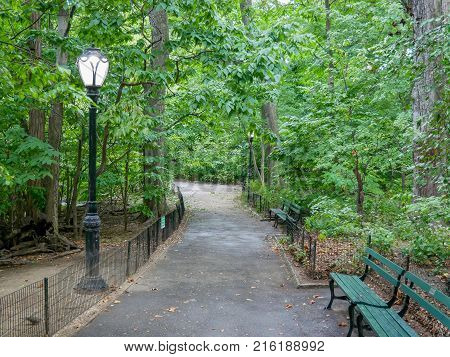  Walkway in Autumn Central Park New York City