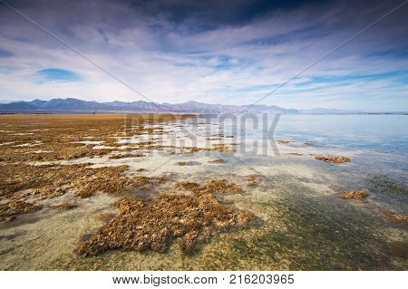 Low tide in the Nabq national park. Mountains on the horizon at sunset.