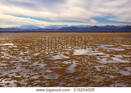 Low tide in the Nabq national park. Mountains on the horizon at sunset.