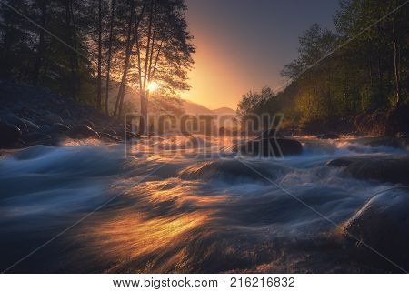 Beautiful fast river flows in mountain forest at sunrise