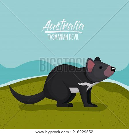 australia tasmanian devil poster with outdoor scene in colorful silhouette vector illustration