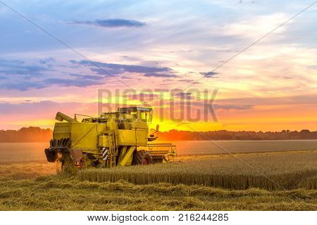 Combine Hervester At Sunset Works A Cornfield