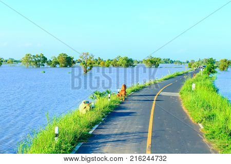 Rural road beautiful in Thailand. Rural road.