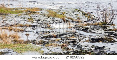 Stones in the water near the lake