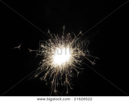 Tomtebloss