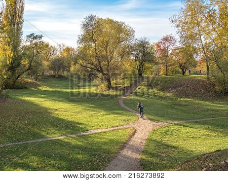 A cyclist through the sunny park raises mood and well-being.