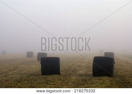 Hay bales in a misty field near the Dutch village 