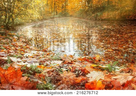 Yellow and red autumn leaves lie on the shore of a pond in the city park on sunny day