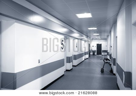 병원 인테리어