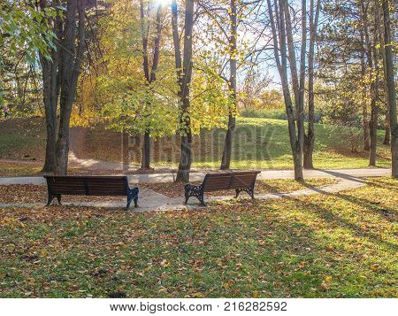 A pedestrian walk through the sunny park raises mood and well-being.