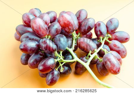 Crimson Seedless Grapes Vitis Vinifera Studio Photograph