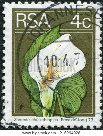 SOUTH AFRICA - CIRCA 1974: A stamp printed in South Africa (RSA), show the flower Zantedeschia aethiopica, circa 1974