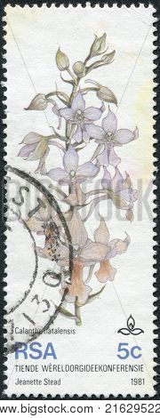 SOUTH AFRICA - CIRCA 1981: A stamp printed in South Africa (RSA), dedicated to 10th World Orchid Conference, Durban, show flower Calanthe Natalensis, circa 1981
