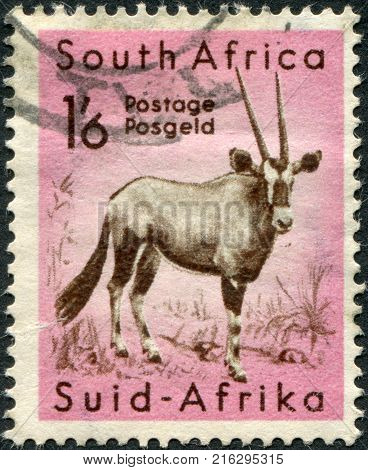 SOUTH AFRICA - CIRCA 1954: A stamp printed in South Africa, shows a Gemsbok (Oryx gazella), circa 1954