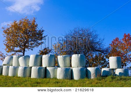 Haylage bele zostawiać na zewnątrz do fermentacji.