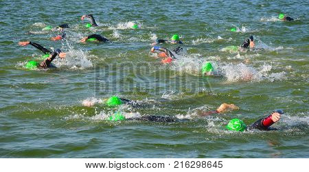 GRAFHAM, CAMBRIDGESHIRE, ENGLAND - MAY 21, 2017:  Competitors swimming in at the end of the swimming stage at the beginning of Triathlon.