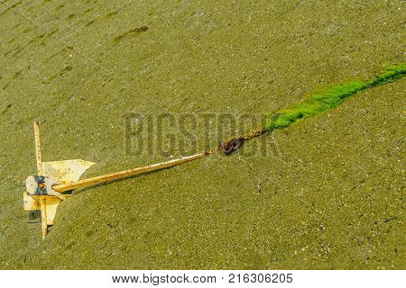 a small old anchor and a rope covered with algae Provincetown Coast tide MA USA