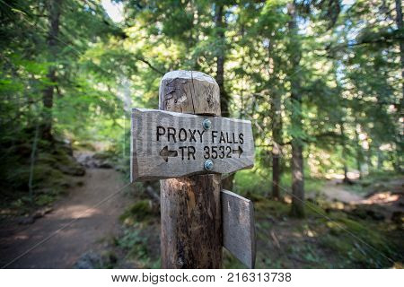 Proxy Falls Loop Trail Sign next to path in forest