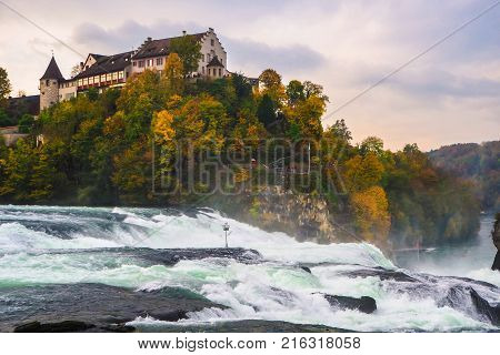 Beautiful nature with the water fall (Rhine Falls) Switzerland.