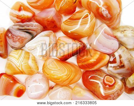 botswana red agate semigem crystals geological mineral set isolated