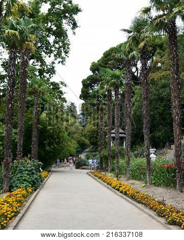 Beautiful places of the Nikitsky Botanical Garden Yalta Crimea