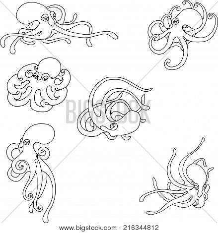 Coloring Set with octopus' figures in vector