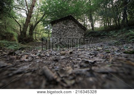 Landscape of one of the abandoned water mills of the Oneta Cascades forest in Asturias, Spain.