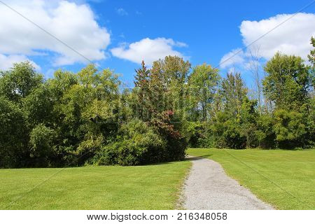 Hiking trail in early autumn through trees under bright blue skies with white clouds
