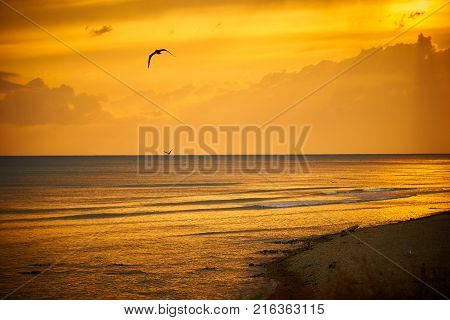 Yellow summer sunset with gulls and clouds at sea