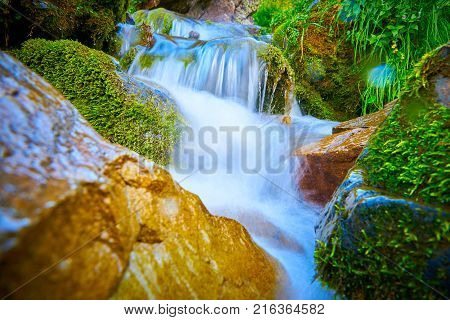 Small mountain river waterfall in stones and herbs