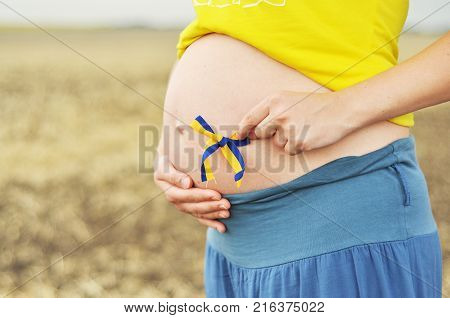 Pregnant woman. Pregnancy. 
Young pragnant woman on field