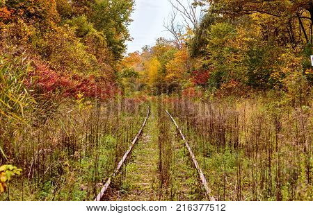 An old overgrown abandoned bygone railway track in Hudson Quebec Canada, surrounded by a blaze of fall colors.